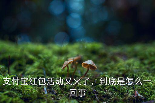 支付寶紅包活動又火了，到底是怎么一回事