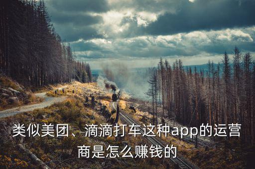 類似美團(tuán)、滴滴打車這種app的運(yùn)營(yíng)商是怎么賺錢的
