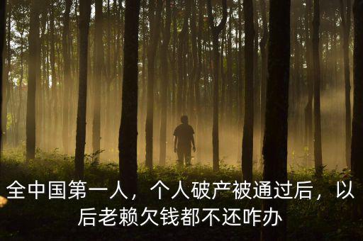 全中國(guó)第一人，個(gè)人破產(chǎn)被通過(guò)后，以后老賴欠錢(qián)都不還咋辦