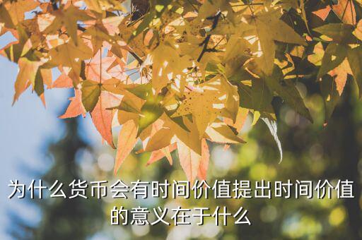 為什么貨幣價(jià)值,為什么貨幣會有時(shí)間價(jià)值