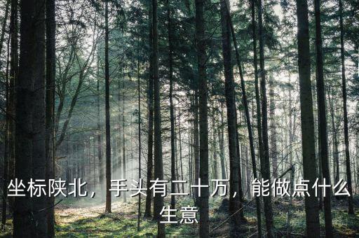 坐標(biāo)陜北，手頭有二十萬，能做點什么生意