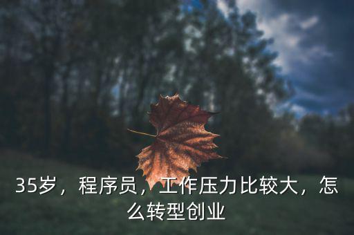 35歲，程序員，工作壓力比較大，怎么轉(zhuǎn)型創(chuàng)業(yè)