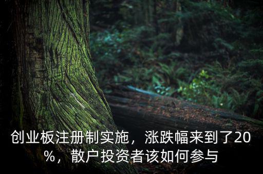 創(chuàng)業(yè)板注冊(cè)制實(shí)施，漲跌幅來到了20%，散戶投資者該如何參與