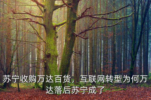 蘇寧收購萬達百貨，互聯(lián)網轉型為何萬達落后蘇寧成了