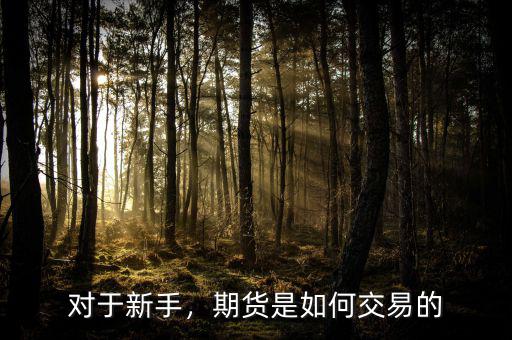 對于新手，期貨是如何交易的