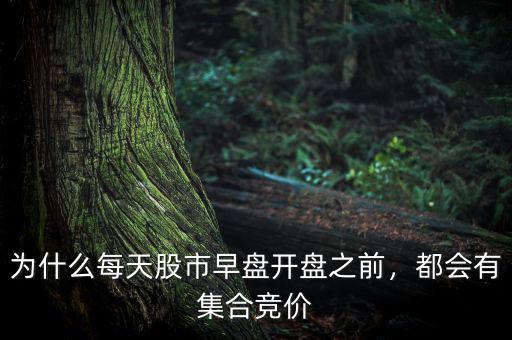 為什么每天股市早盤開盤之前，都會(huì)有集合競(jìng)價(jià)