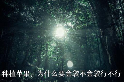 種植蘋果，為什么要套袋不套袋行不行
