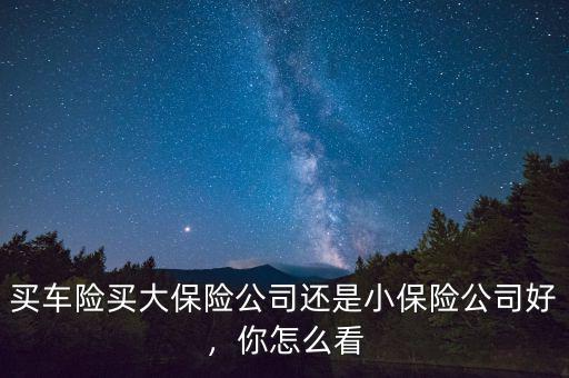 買車險(xiǎn)買大保險(xiǎn)公司還是小保險(xiǎn)公司好，你怎么看