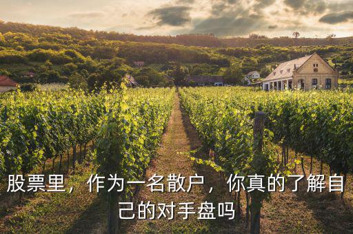 股票里，作為一名散戶，你真的了解自己的對手盤嗎