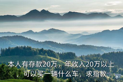 本人有存款20萬，年收入20萬以上，可以買一輛什么車，求指教