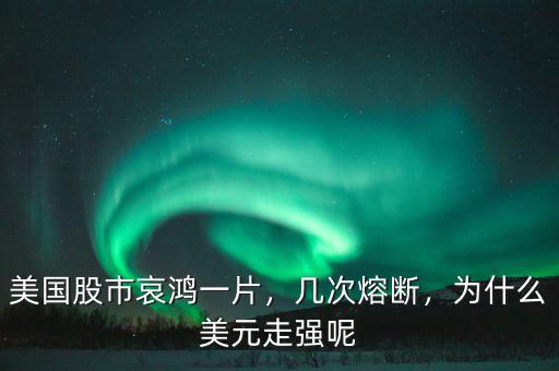 美國股市哀鴻一片，幾次熔斷，為什么美元走強呢