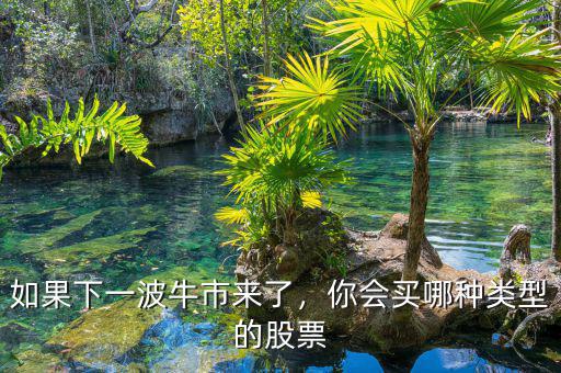 如果下一波牛市來了，你會買哪種類型的股票