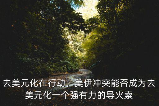 去美元化在行動(dòng)，美伊沖突能否成為去美元化一個(gè)強(qiáng)有力的導(dǎo)火索