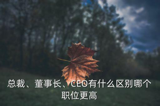 總裁、董事長(zhǎng)、CEO有什么區(qū)別哪個(gè)職位更高