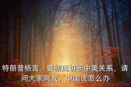 特朗普楊言，要徹底切斷中美關(guān)系，請問大家網(wǎng)友，中國該怎么辦