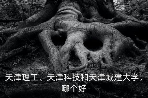 天津理工、天津科技和天津城建大學，哪個好