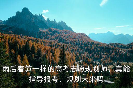 雨后春筍一樣的高考志愿規(guī)劃師，真能指導(dǎo)報考、規(guī)劃未來嗎