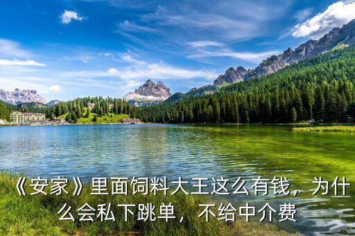 《安家》里面飼料大王這么有錢，為什么會(huì)私下跳單，不給中介費(fèi)