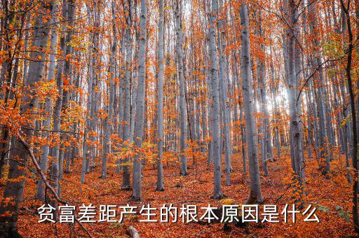 貧富差距產生的根本原因是什么
