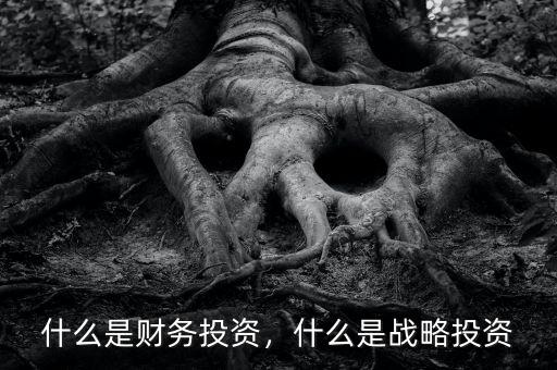 什么是財(cái)務(wù)投資，什么是戰(zhàn)略投資