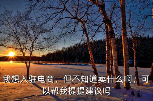 我想入駐電商，但不知道賣什么啊，可以幫我提提建議嗎