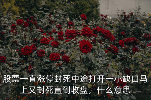 股票一直漲停封死中途打開(kāi)一小缺口馬上又封死直到收盤(pán)，什么意思