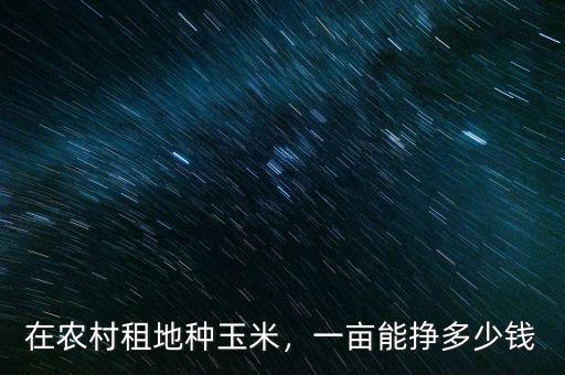 在農(nóng)村租地種玉米，一畝能掙多少錢