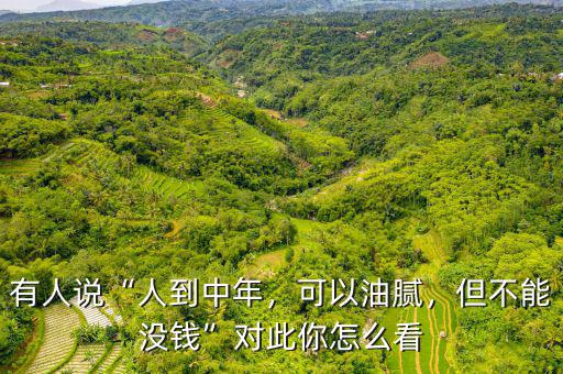 有人說“人到中年，可以油膩，但不能沒錢”對此你怎么看