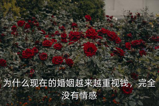 為什么現(xiàn)在的婚姻越來(lái)越重視錢，完全沒(méi)有情感