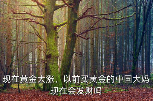 現(xiàn)在黃金大漲，以前買黃金的中國(guó)大媽現(xiàn)在會(huì)發(fā)財(cái)嗎