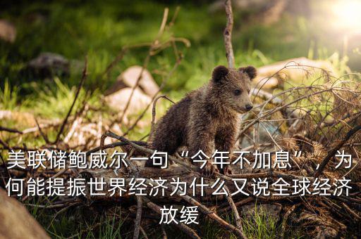 美聯(lián)儲(chǔ)鮑威爾一句“今年不加息”，為何能提振世界經(jīng)濟(jì)為什么又說(shuō)全球經(jīng)濟(jì)放緩