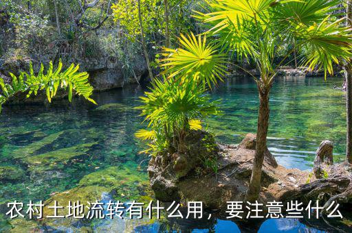 農(nóng)村土地流轉(zhuǎn)有什么用，要注意些什么