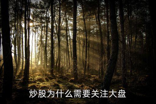 炒股為什么需要關(guān)注大盤(pán)