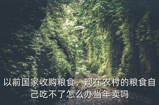 以前國家收購糧食，現(xiàn)在農(nóng)村的糧食自己吃不了怎么辦當年賣嗎