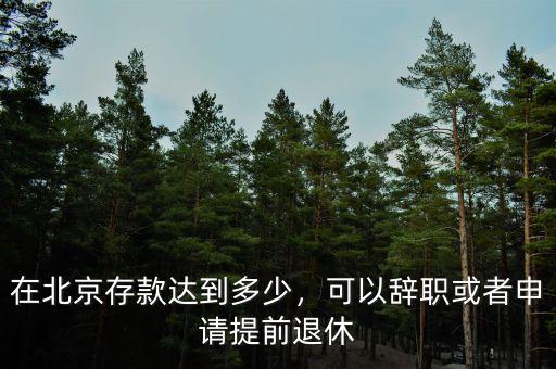 在北京存款達到多少，可以辭職或者申請?zhí)崆巴诵? class=