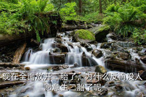 現(xiàn)在全面放開(kāi)二胎了，為什么反而沒(méi)人愿意生二胎了呢