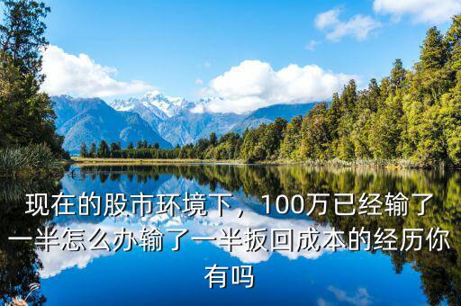 現在的股市環(huán)境下，100萬已經輸了一半怎么辦輸了一半扳回成本的經歷你有嗎
