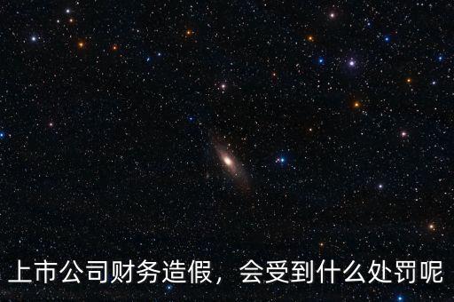 上市公司財(cái)務(wù)造假，會(huì)受到什么處罰呢