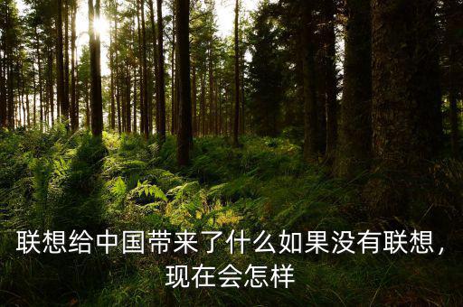 聯(lián)想給中國帶來了什么如果沒有聯(lián)想，現(xiàn)在會怎樣