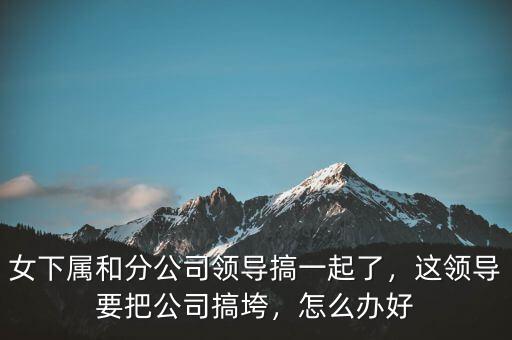 女下屬和分公司領(lǐng)導(dǎo)搞一起了，這領(lǐng)導(dǎo)要把公司搞垮，怎么辦好