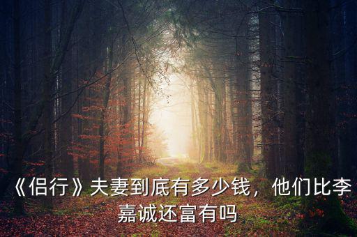 《侶行》夫妻到底有多少錢，他們比李嘉誠還富有嗎