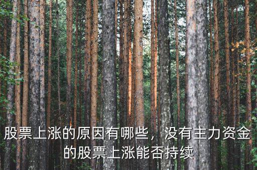 股票上漲的原因有哪些，沒(méi)有主力資金的股票上漲能否持續(xù)