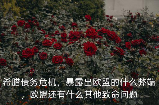 希臘債務(wù)危機(jī)，暴露出歐盟的什么弊端，歐盟還有什么其他致命問題