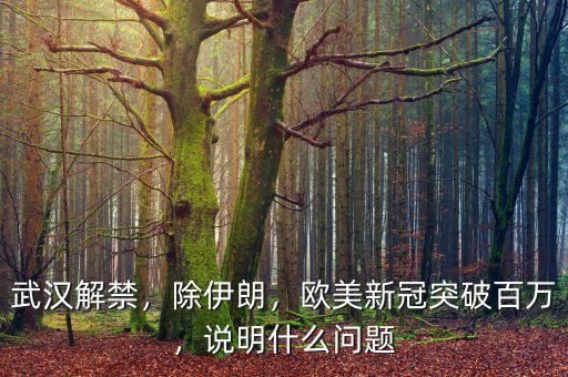 武漢解禁，除伊朗，歐美新冠突破百萬，說明什么問題