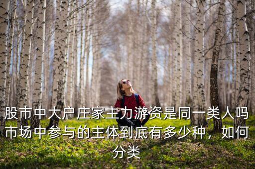 股市中大戶(hù)莊家主力游資是同一類(lèi)人嗎市場(chǎng)中參與的主體到底有多少種，如何分類(lèi)