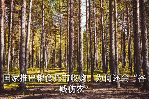 國(guó)家推出糧食托市收購(gòu)，為何還會(huì)“谷賤傷農(nóng)”