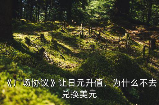 《廣場(chǎng)協(xié)議》讓日元升值，為什么不去兌換美元