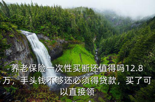 養(yǎng)老保險(xiǎn)一次性買斷還值得嗎12.8萬，手頭錢不夠還必須得貸款，買了可以直接領(lǐng)