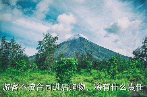 游客不按合同進店購物，將有什么責任
