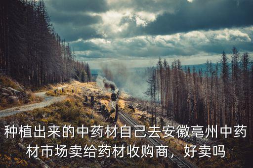 種植出來的中藥材自己去安徽亳州中藥材市場賣給藥材收購商，好賣嗎